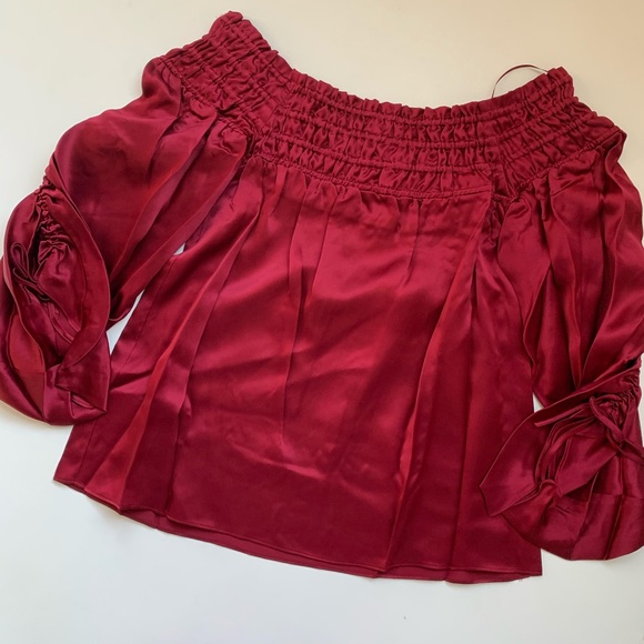 Parker Thatch Silk Ruched Sleeve Off Shoulder Top - Picture 7 of 7